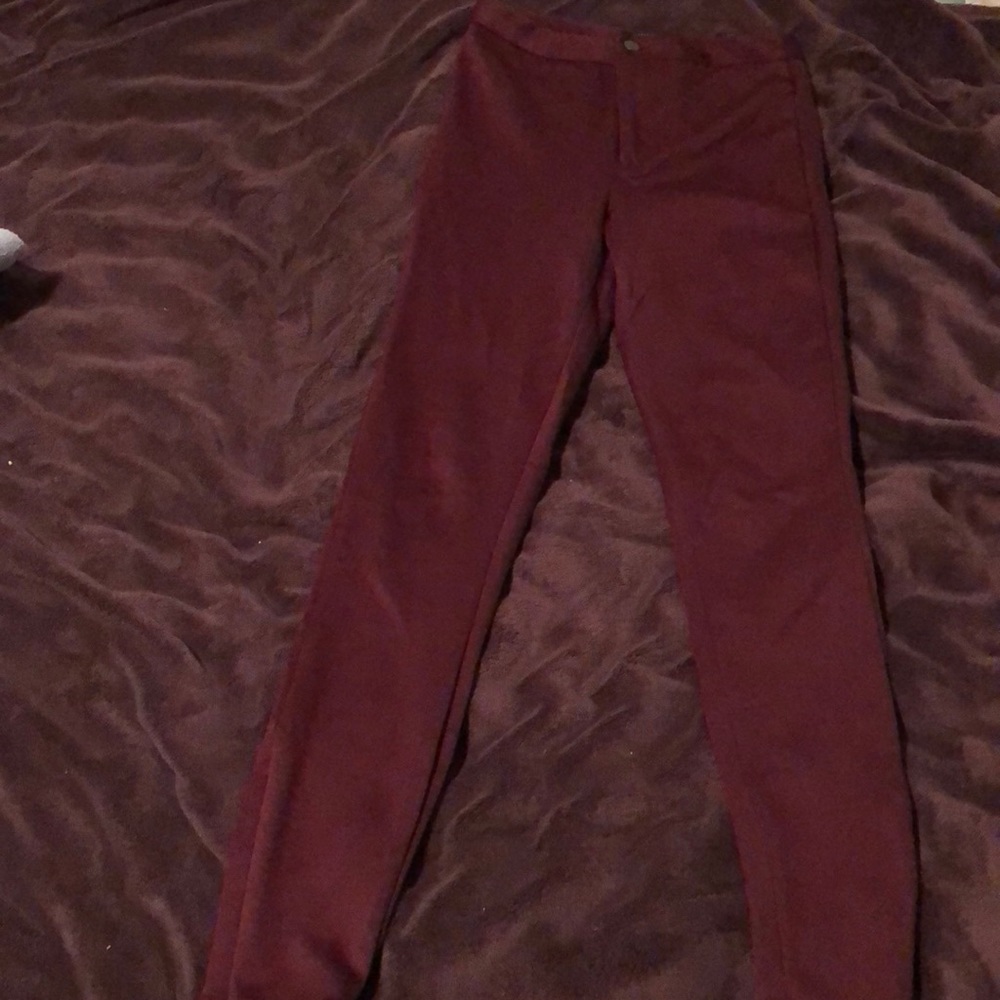 High waisted riding pants